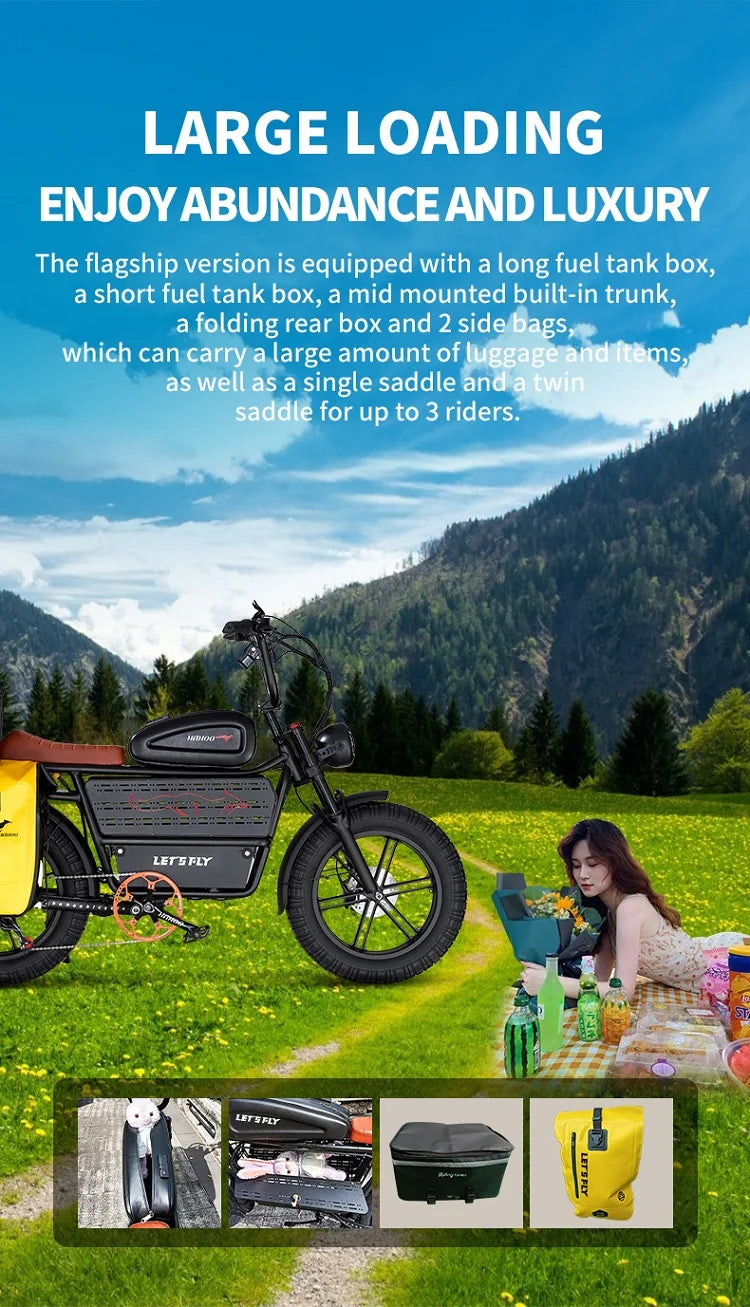 HAHOO H20 20 inches adult electric mountain bike 2000W brushless motor 48V 60Ah ebike dual suspension off road tyre bicycle