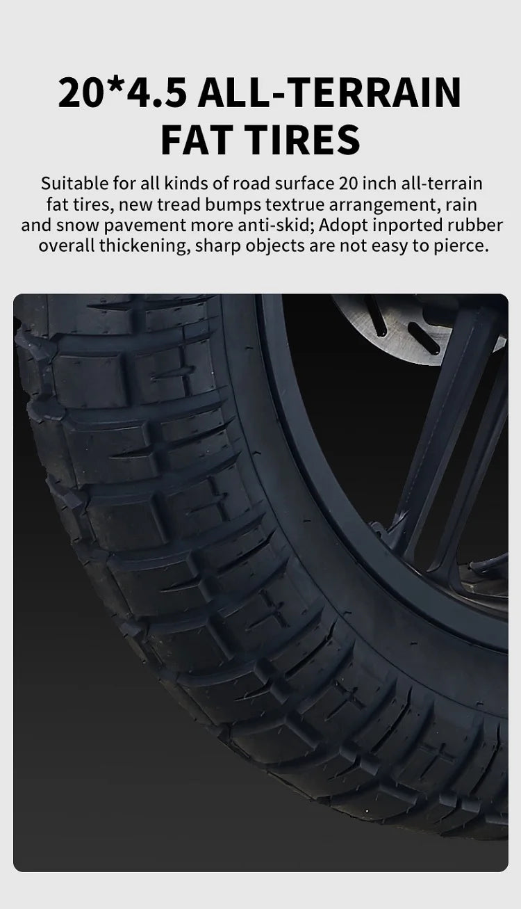 HAHOO H20 20 inches adult electric mountain bike 2000W brushless motor 48V 60Ah ebike dual suspension off road tyre bicycle