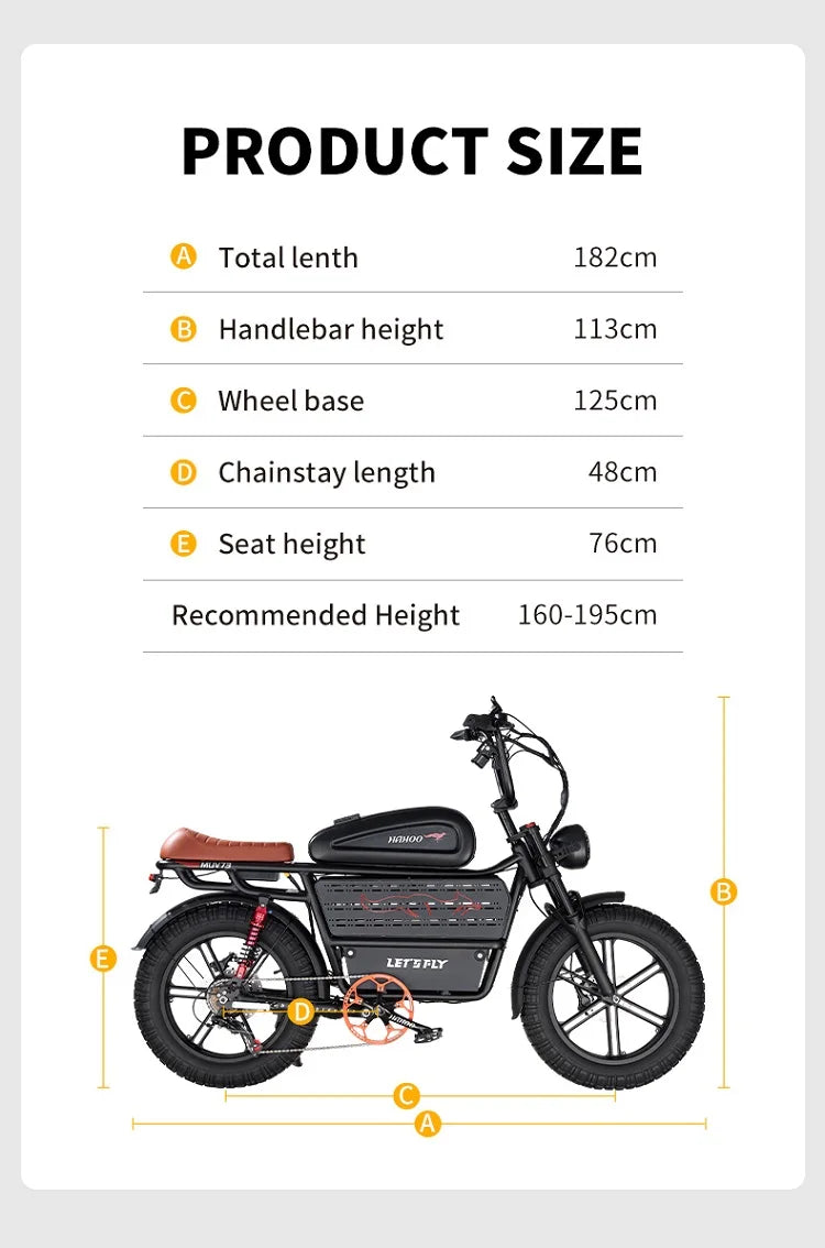 HAHOO H20 20 inches adult electric mountain bike 2000W brushless motor 48V 60Ah ebike dual suspension off road tyre bicycle