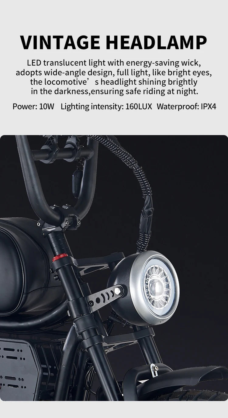 HAHOO H20 20 inches adult electric mountain bike 2000W brushless motor 48V 60Ah ebike dual suspension off road tyre bicycle