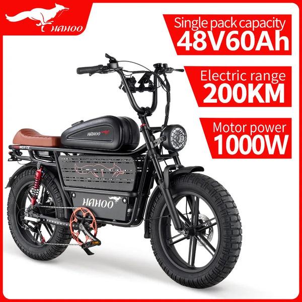 HAHOO H20 20 inches adult electric mountain bike 2000W brushless motor 48V 60Ah ebike dual suspension off road tyre bicycle