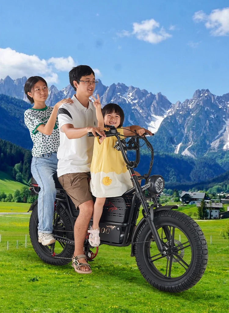 HAHOO H20 20 inches adult electric mountain bike 2000W brushless motor 48V 60Ah ebike dual suspension off road tyre bicycle