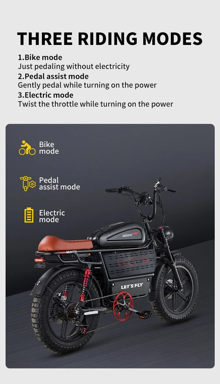 HAHOO H20 20 inches adult electric mountain bike 2000W brushless motor 48V 60Ah ebike dual suspension off road tyre bicycle