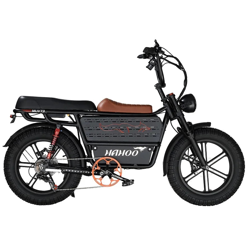 HAHOO H20 20 inches adult electric mountain bike 2000W brushless motor 48V 60Ah ebike dual suspension off road tyre bicycle